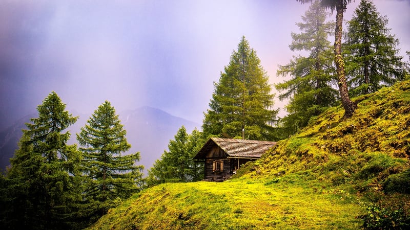Treehouse Retreat